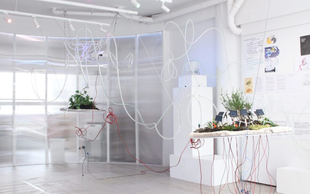 Maite Cajaraville. Territorial Intelligence and the Art of Interconnection